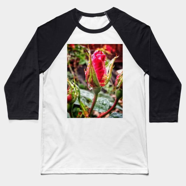 Rosebud after rain Baseball T-Shirt by Photography_fan